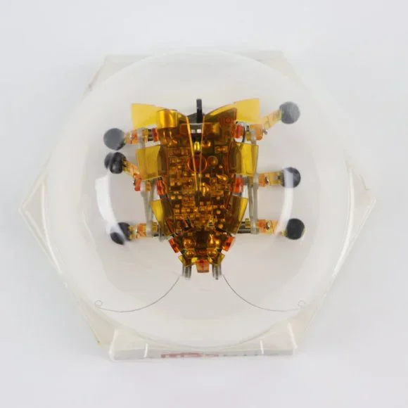 HEX Bug Alpha 2007 Orange Micro Robotic Creatures Sealed in Package - Picture 8 of 9